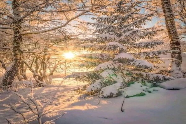 Foto van Appartement in Morillon bij Skipiste - Vakantiehuis in Morillon - AreaWinter5KM