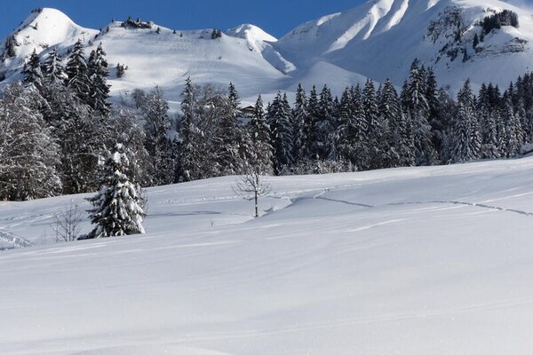 Foto van 4 kamers voor 10 personen - Vakantiehuis in LE GRAND BORNAND - Untagged