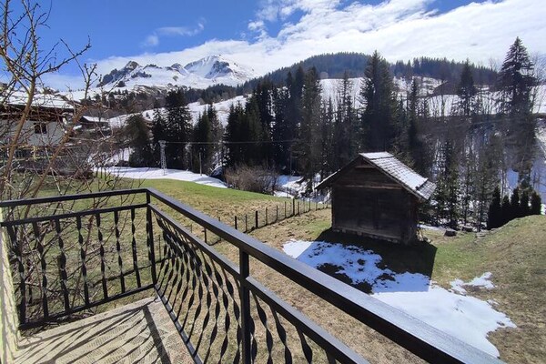 Foto van 2 kamers voor 3 personen - Vakantiehuis in LE GRAND BORNAND - Untagged