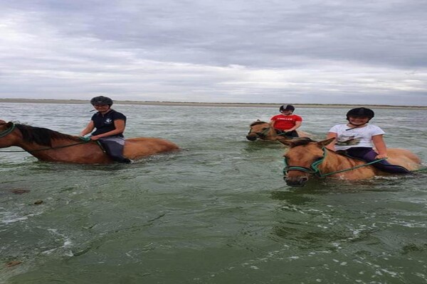 Foto van Chalet bij Meer en Zwembad in Quend-Plage - Vakantiehuis in Quend-Plage - AreaSummer5KM