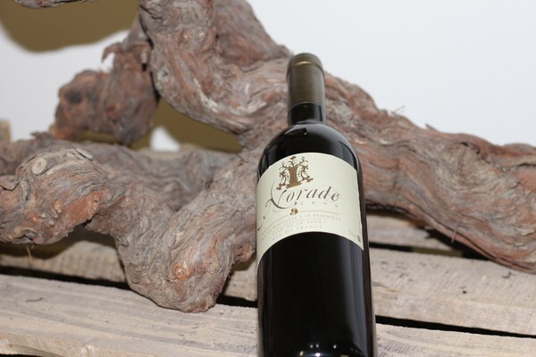 Foto van Villa in Plan-de-la-Tour met Zwembad & Wijngaard - Vakantiehuis in Le Plan-De-La-Tour - Ambiance