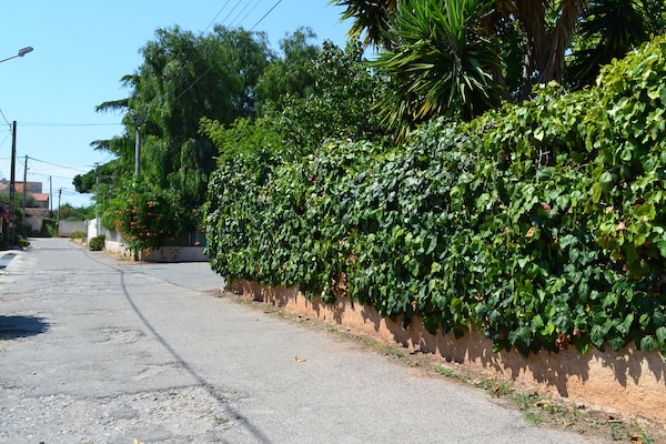 Foto van Vakantiehuis in La Seyne vlakbij Sablettes - Vakantiehuis in La-Seyne-sur-Mer - AreaSummer1KM