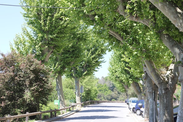 Foto van Villa in Bagnols met Zwembad & Natuurparken - Vakantiehuis in Bagnols en Foret - AreaSummer1KM