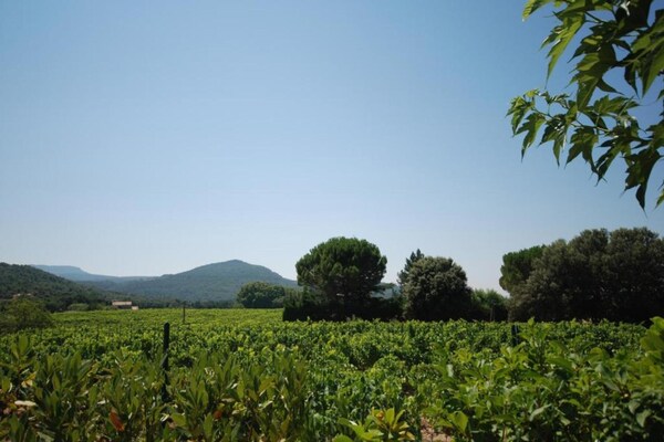 Foto van Huis in Vaison La Romaine met Verwarmd Zwembad - Vakantiehuis in Vaison la Romaine - AreaSummer20KM