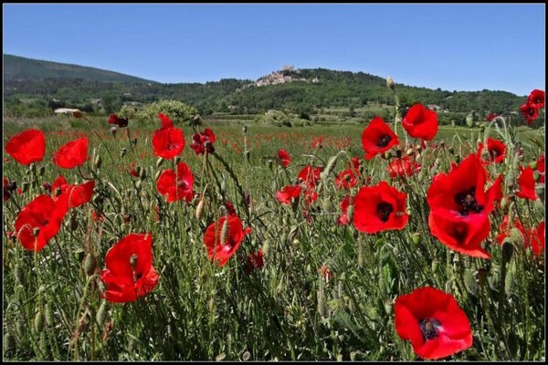 Foto van Appartement in Bonnieux bij Lavendelvelden - Vakantiehuis in BONNIEUX - AreaSummer20KM