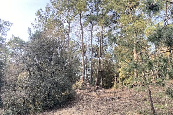 Foto van Appartement in La Chaume met uitzicht op de oceaan - Untagged