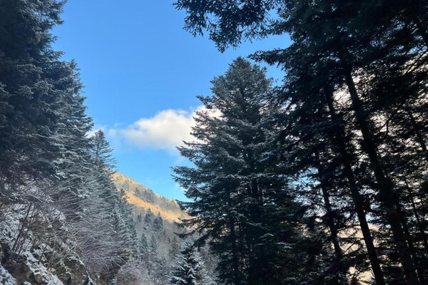 Foto van Appartement in La Bresse bij rivier & skigebied - Vakantiehuis in La Bresse - AreaWinter5KM