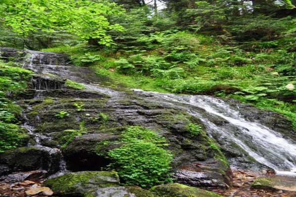 Foto van Appartement in La Bresse bij rivier & skigebied - Vakantiehuis in La Bresse - AreaSummer20KM