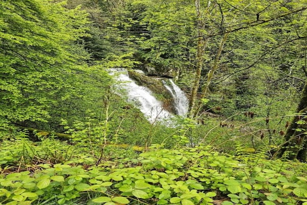 Foto van Chalet in Saulxures bij Skigebieden - Vakantiehuis in Saulxures sur Moselotte - AreaSummer20KM