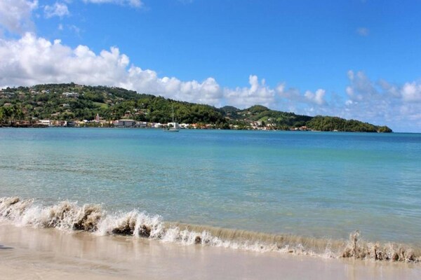 Foto van Eco-bungalow in weelderige natuur - Vakantiehuis in Sainte-Marie - AreaSummer1KM