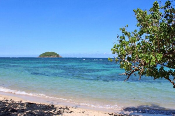 Foto van Eco-bungalow in weelderige natuur - Vakantiehuis in Sainte-Marie - AreaSummer1KM
