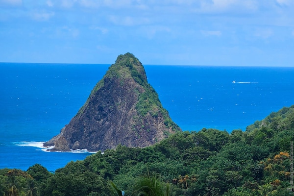Foto van Eco-bungalow in weelderige natuur - Vakantiehuis in Sainte-Marie - AreaSummer20KM