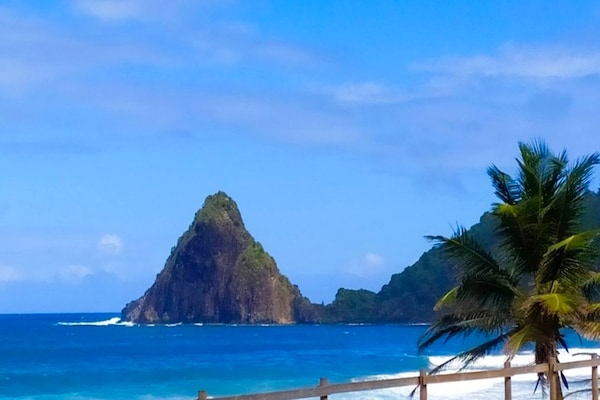 Foto van Eco-bungalow in weelderige natuur - Vakantiehuis in Sainte-Marie - AreaSummer20KM