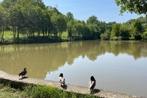 Foto van Chalet in Kent bij Chiddingstone Castle - Vakantiehuis in Hoath - AreaSummer5KM