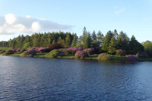 Foto van Cottage in Bovey Tracey bij Dartmoor - Vakantiehuis in Bovey Tracey - AreaSummer20KM