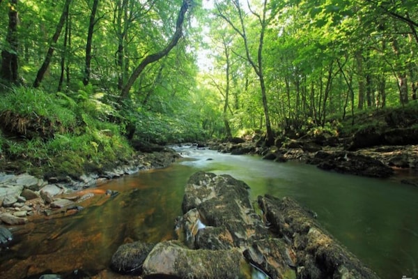 Foto van Cottage in Devon bij Dartmoor & Stranden - Vakantiehuis in Bovey Tracey - AreaSummer5KM
