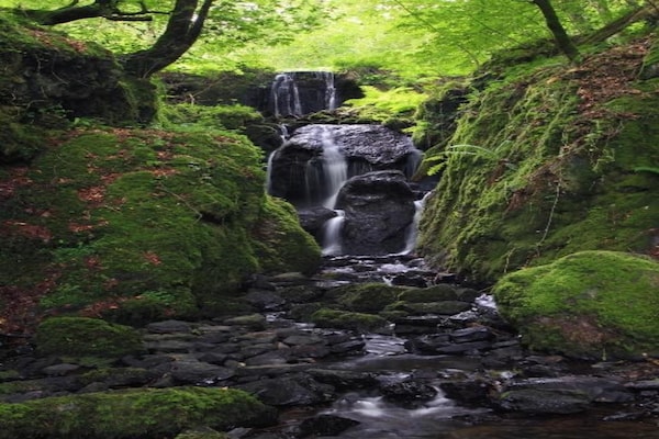 Foto van Cottage in Devon bij Dartmoor & Stranden - Vakantiehuis in Bovey Tracey - AreaSummer5KM