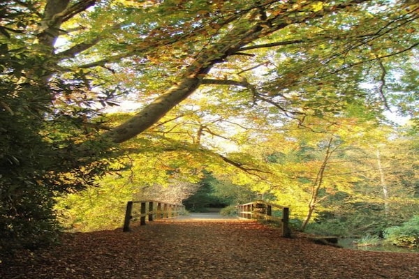 Foto van Cottage in Devon bij Dartmoor & Stranden - Vakantiehuis in Bovey Tracey - AreaSummer5KM