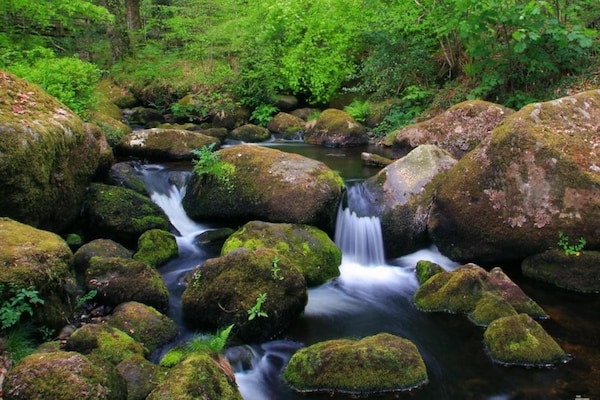 Foto van Cottage in Devon bij Dartmoor & Stranden - Vakantiehuis in Bovey Tracey - AreaSummer5KM