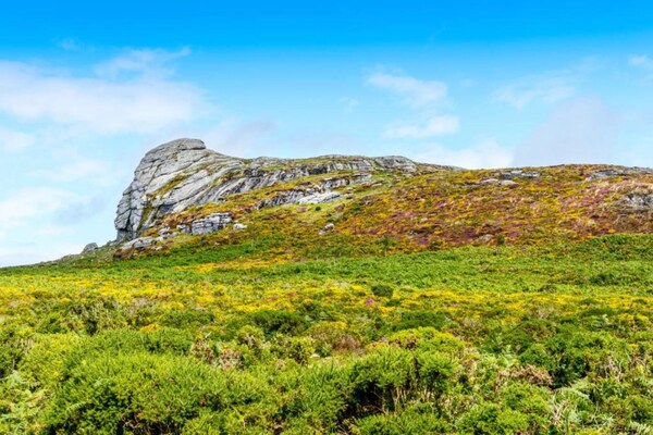 Foto van Cottage in Devon bij Dartmoor & Stranden - Vakantiehuis in Bovey Tracey - AreaSummer5KM