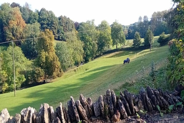 Foto van Hutten in Oxfordshire met Hot Tub & Weidezicht - Vakantiehuis in Banbury - AreaSummer20KM