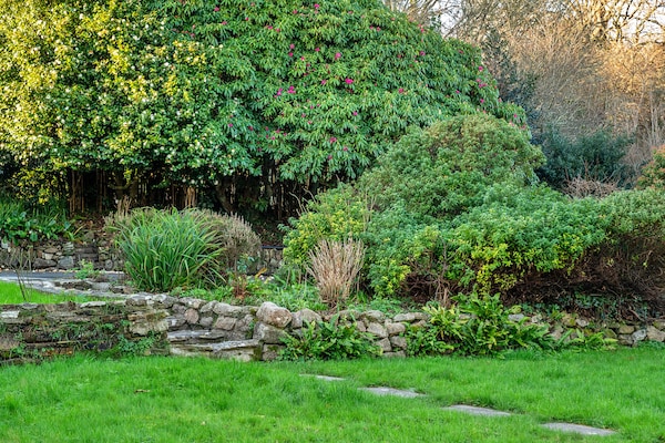 Foto van Cottage in Cornwall bij Helford River & Hot Tub - Vakantiehuis in Gweek - Outdoor