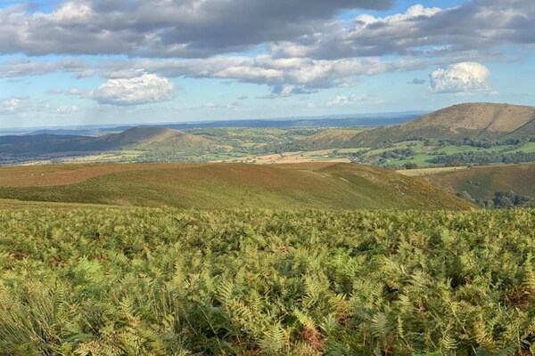 Foto van Cottage bij Netley Hall met wandelpaden - Vakantiehuis in Dorrington - AreaSummer5KM