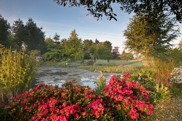 Foto van Cottage in Kingham met privézwembad - Vakantiehuis in Kingham - GardenSummer