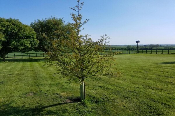 Foto van Cottage in Hemingby bij Lincolnshire Wolds - Vakantiehuis in Hemingby - AreaSummer20KM