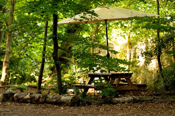 Foto van Bos Pod bij Kasteel Highclere - Vakantiehuis in Woolton Hill - TerraceBalcony