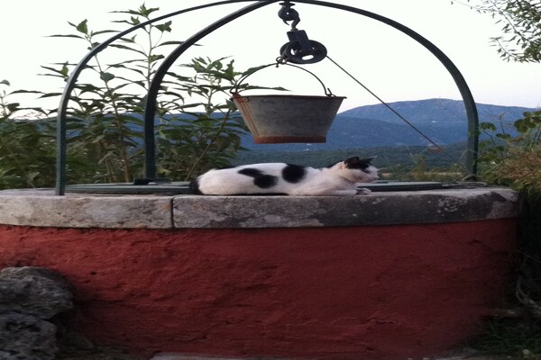 Foto van Appartement in Corfu bij de Zee - Vakantiehuis in Paleokastritsa, Corfu - Ambiance
