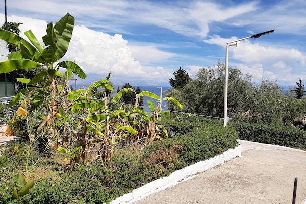 Foto van Appartement in Mpenitses met zeezicht - Vakantiehuis in Mpenitses - ViewSummer