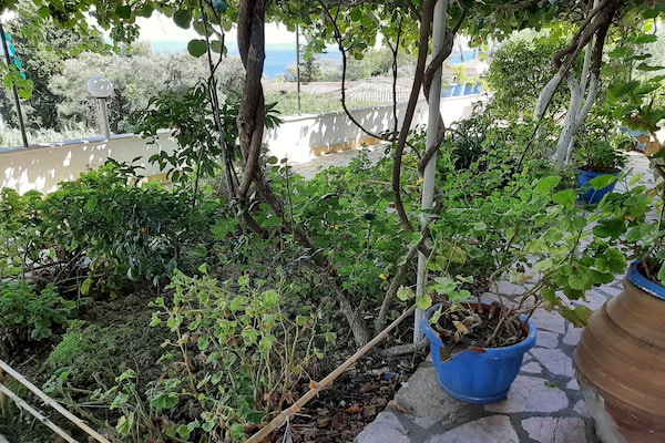 Foto van Appartement in Mpenitses met zeezicht - Vakantiehuis in Mpenitses - Ambiance