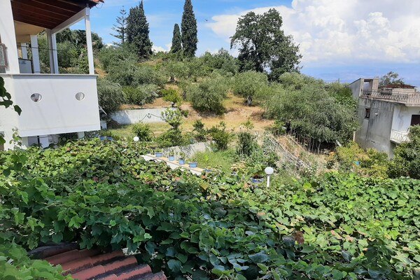 Foto van Geweldig appartement in Mpenitses met terras - Vakantiehuis in Mpenitses - ViewSummer