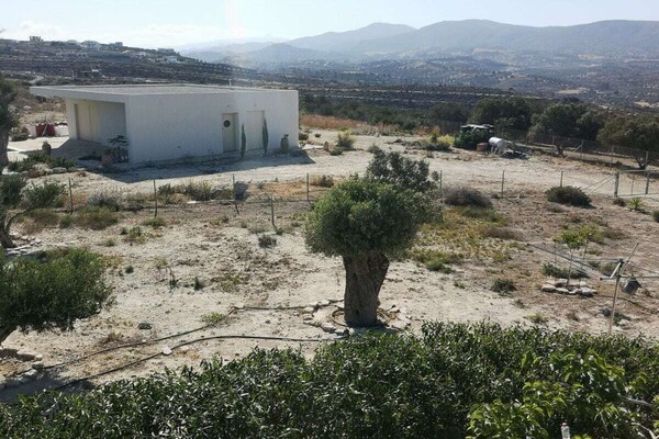 Foto van Luma Comfortabel vakantiehuis - Vakantiehuis in Kamilari - Untagged