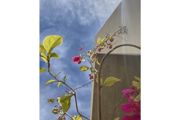 Foto van Luma Comfortabel vakantiehuis - Vakantiehuis in Kamilari - Untagged