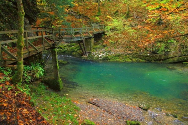 Foto van Vakantiehuis in Brod Moravice met Zwembad - Vakantiehuis in Brod Moravice - AreaSummer20KM