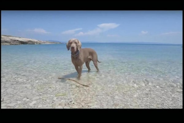 Foto van Appartement in Labin bij het Strand - Vakantiehuis in Drenje - AreaSummer20KM