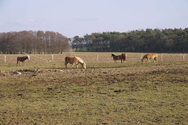 Foto van Apartments Aura - Comfort Studio Apartment 2 with shared swimming pool - Untagged