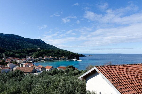 Foto van Apartment Dalmatin Žuljana - Two-Bedroom Apartment 2 - View