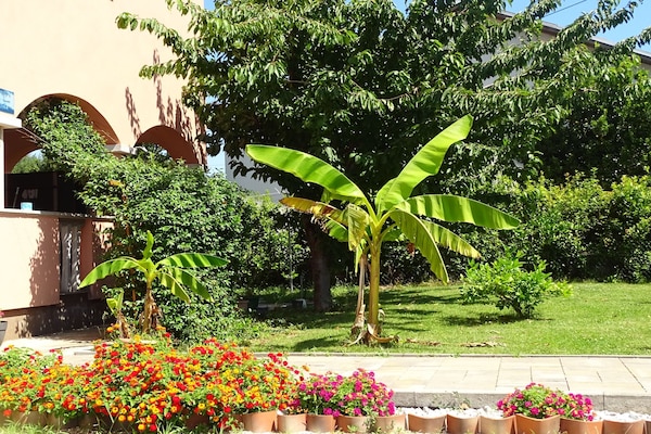 Foto van Apartmani Luna - Two Bedroom Apartment - Vakantiehuis in Sukosan - Outdoor