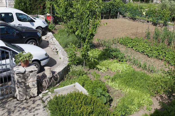 Foto van Appartement in Gata bij Adriatische Zee - Vakantiehuis in Gata - ExteriorSummer