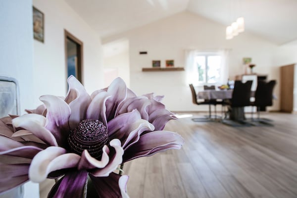 Foto van Appartement in Starigrad bij de zee - Vakantiehuis in Starigrad Paklenica - Ambiance