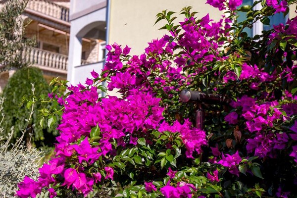 Foto van Appartement in Kraljevica vlakbij Rock Beach - Vakantiehuis in Kraljevica - GardenSummer