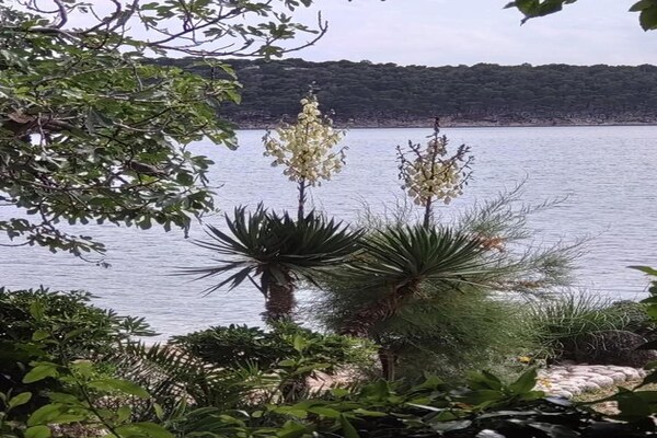 Foto van Appartement bij Rab Strand - Vakantiehuis in Banjol - AreaSummer20KM