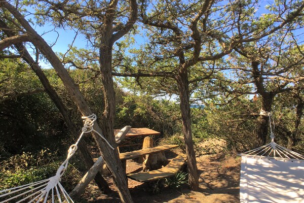 Foto van Vakantiehuis in Sassetta bij stranden - Vakantiehuis in Sassetta - Facilities