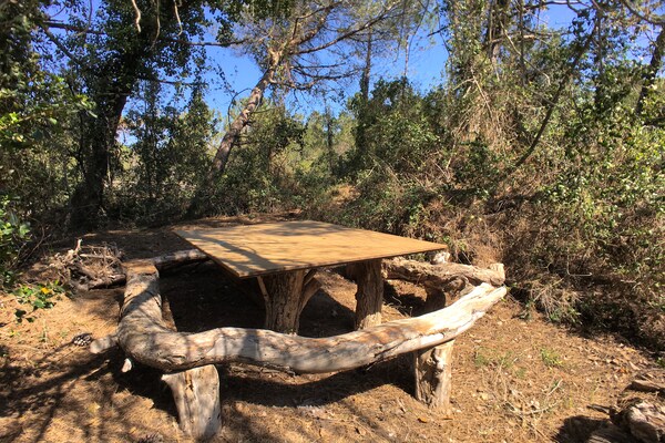 Foto van Vakantiehuis in Sassetta bij stranden - Vakantiehuis in Sassetta - Facilities