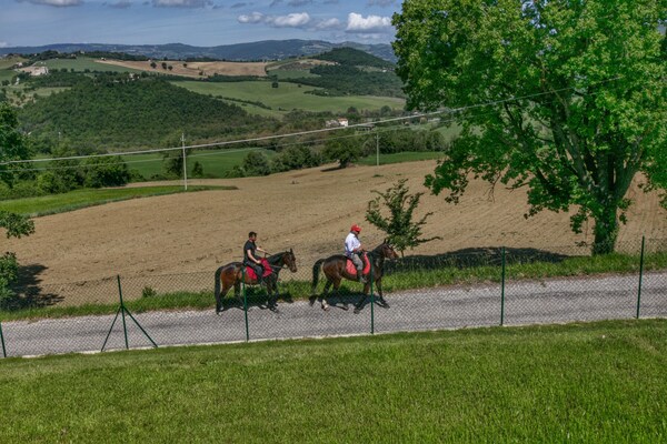 Foto van Umbrische ontsnapping naar villa - Vakantiehuis in Vasciano - AreaSummer1KM