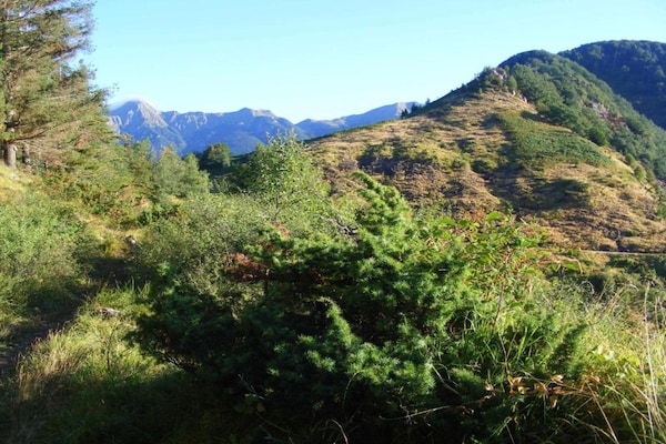 Foto van Rustiek toevluchtsoord in Umbrië - Vakantiehuis in Monte Santa Maria Tiberina - AreaSummer5KM