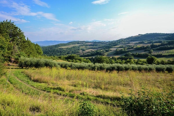 Foto van Rustiek toevluchtsoord in Umbrië - Vakantiehuis in Monte Santa Maria Tiberina - AreaSummer5KM